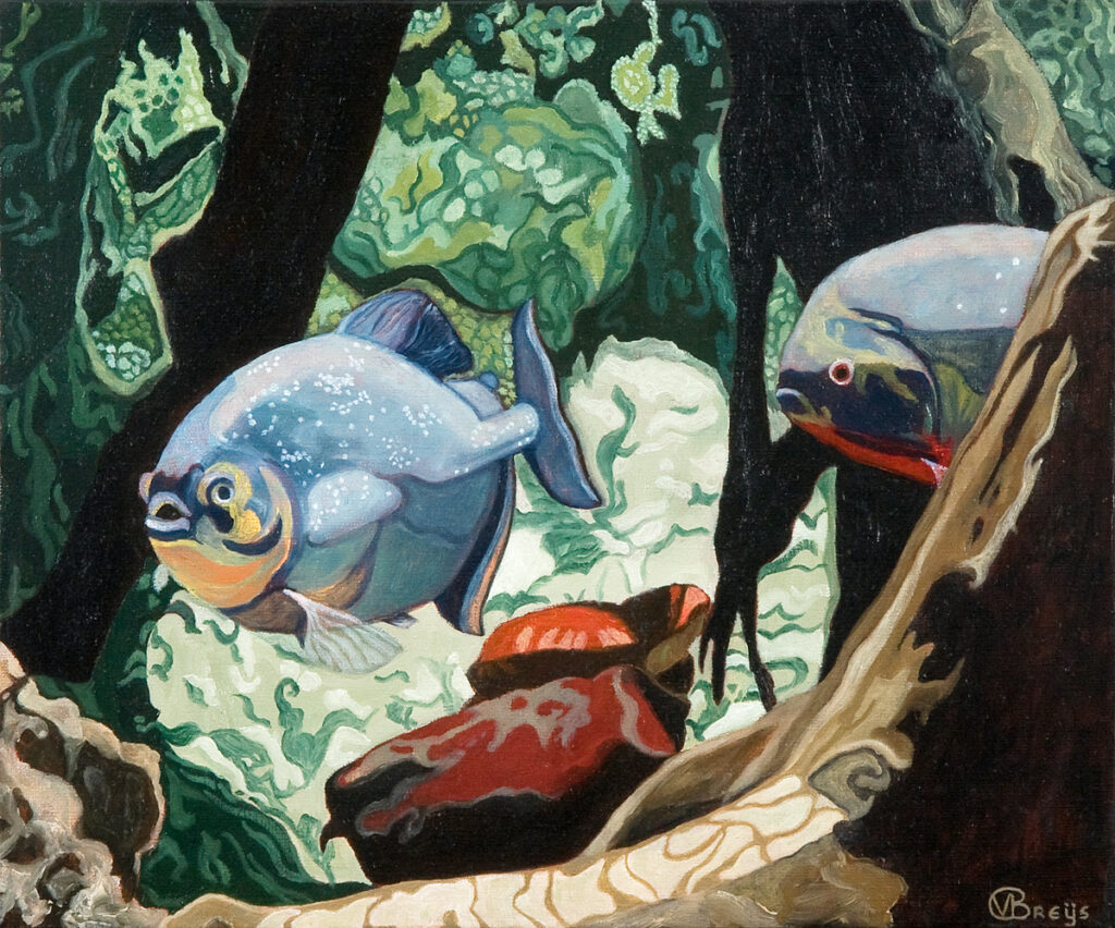 Piranha’s, 50 x 40 cm, oil on canvas